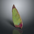 Colorful Leaf Shaped Food Slice With Vibrant Green Pink And Purple Hues