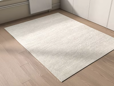 Light Colored Square Rug on Wooden Floor in Modern Interior with White Cabinets 3d model