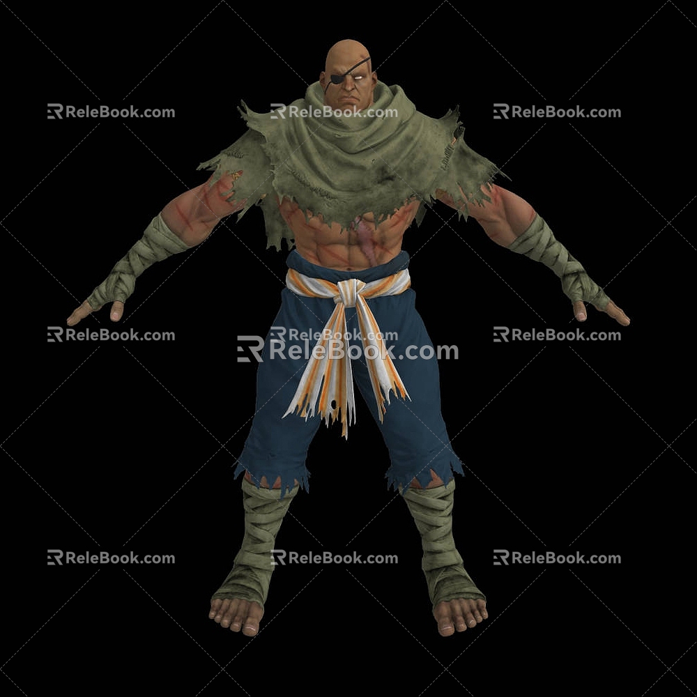 Street Fighter Sagat Fighting Games Street Fighter Sagat Fighting Games Boss 3d model