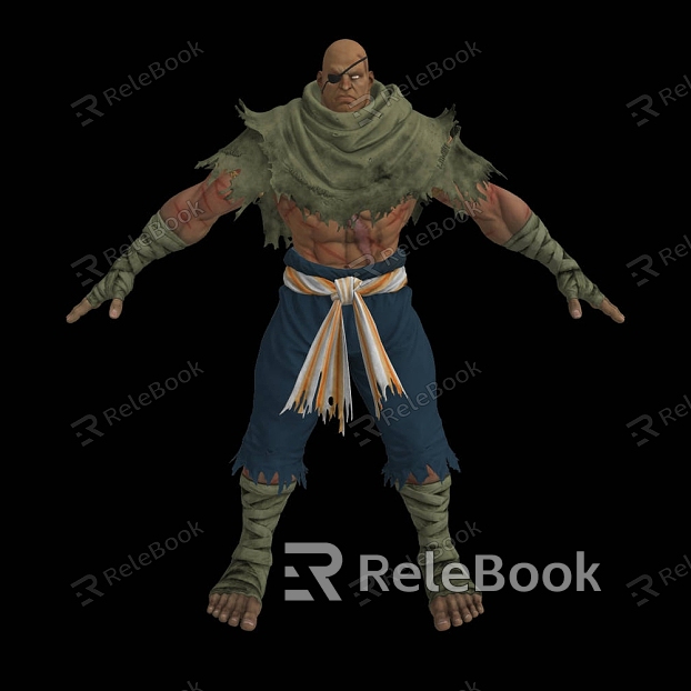 Street Fighter Sagat Fighting Games Street Fighter Sagat Fighting Games Boss model