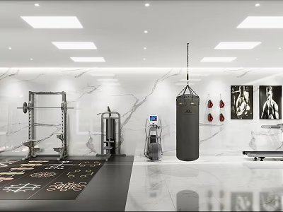 Modern Fitness Gym Interior With Marble Walls Punching Bag Barbell Rack And Treadmill 3d model
