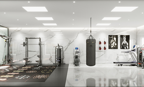 Modern Gym Fitness Area 3d model