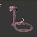 snake cobra venomous snake python reptile cold-blooded animal reptile 3d model