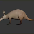 3D Rendered Aardvark Game Movie Character With Pink Skin Long Snout Large Ears Standing Pose