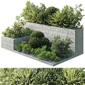 Lush Potted Plants Arranged Against Stone Wall With Green Foliage And Varied Species