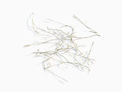 Slender Dry Grass Scattered On White Background With Delicate Natural Texture 3d model