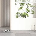White Window Blinds in Modern Bright Room with Large Windows Green Plants and Natural Light