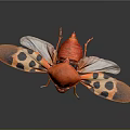 Red Insect with Orange and Black Spotted Wings in Detailed Close up View