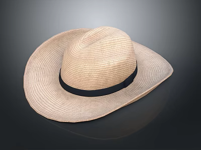 Classic Woven Straw Hat With Natural Color And Black Band Design 3d model