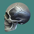 Realistic Detailed Silver Gray Human Skull With Crack On Green Background