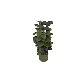 Shiny Dark Green Leaves Garden Decor Piece With Lush Potted Plant In Ceramic Pot