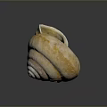 Aquatic Animal Nautilus Shell with Spiral Shape Natural Cream Yellow Texture