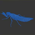 Praying Mantis Nymph With Detailed Brown Green Body And Long Legs On Dark Background