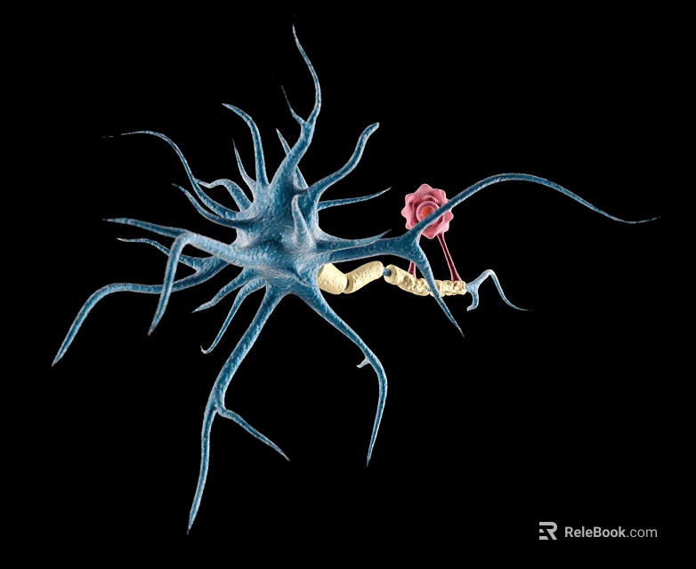 Modern Swing Door Design With Aluminum Frame And Glass Panel For Interior Use 3d model