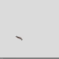 Various Deer and Moose Species Standing in a Row on Gray Background