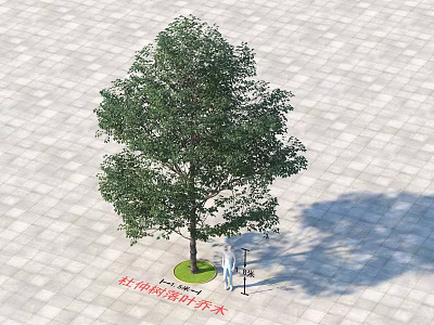 Deciduous Tree In Urban Paved Area With Green Grass And Sunlight Shadow 3d model