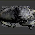 Sitting Bronze Lion Sculpture With Mane Clawing Ball On Square Base