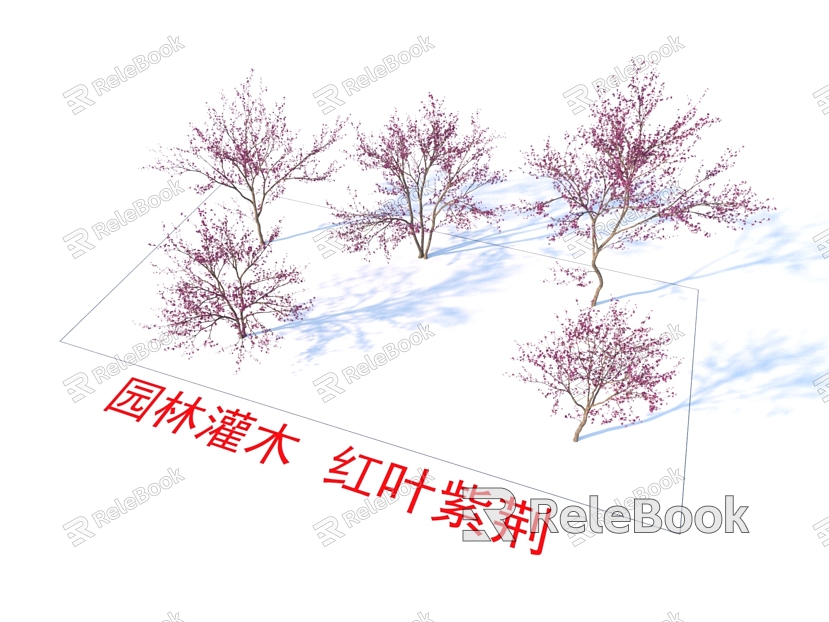 Garden Shrubs Red-leaved Bauhinia Plants model