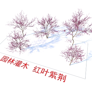 Garden Shrubs Red-leaved Bauhinia Plants 3d model