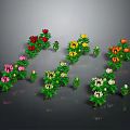 Colorful Flowers Arranged in Curve Shape With Green Leaves and Gray Background