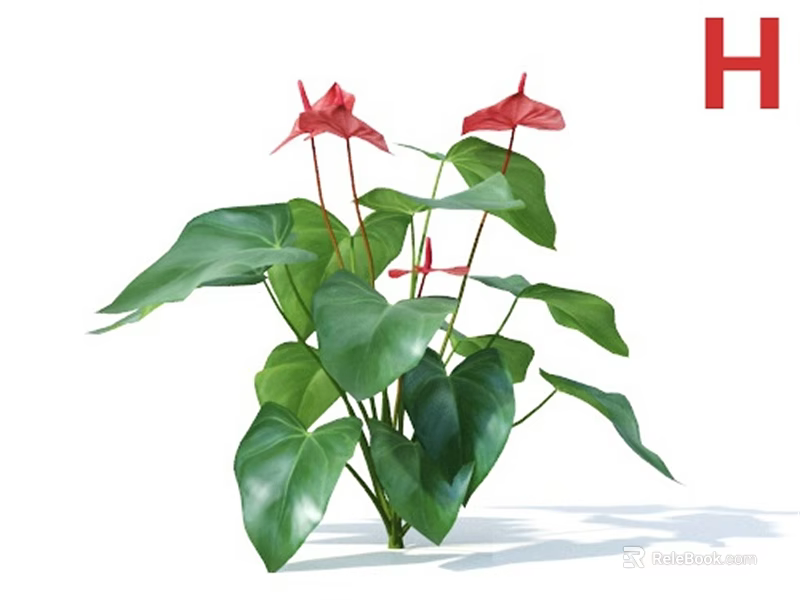 Red Anthurium Flowers in Decorative Vase with Green Leaves and Fresh Blooms 3d model 