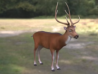 Modern spotted dolphin deer white spotted deer spotted deer axis deer animal creatures 3d model