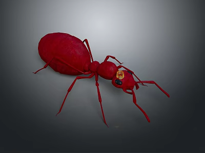 3D Rendered Detailed Red Ant With Golden Eyes On Gray Background 3d model
