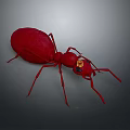 3D Rendered Detailed Red Ant With Golden Eyes On Gray Background