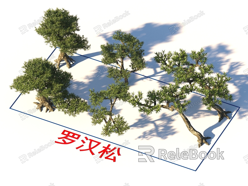 Pohan pine trees plants model