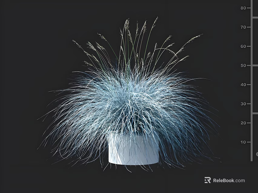 Elegant Blue Gray Ornamental Grass Planted in White Pot Against Black Background 3d model 