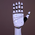 Smart Robotic Hand With White Body Black Joints And Precision Mechanical Structure 3d model