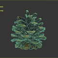 Natural Pine Cone Decorative Household Item For Home Living Room Decor