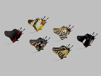 Various Colored Butterflies With Unique Patterns In Flight 3d model