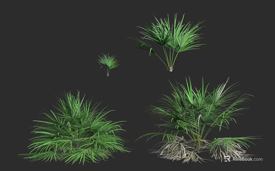 Various Types of Green Shrubs with Lush Foliage and Diverse Leaf Shapes 3d model 