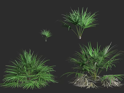 Various Types of Green Shrubs with Lush Foliage and Diverse Leaf Shapes 3d model