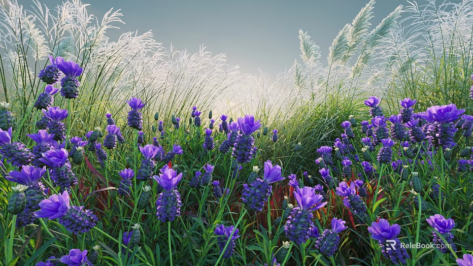 Vibrant Purple Flowers And Tall Green Grasses Thriving In Sunlit Natural Garden Area 3d model 