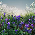 Vibrant Purple Flowers And Tall Green Grasses Thriving In Sunlit Natural Garden Area