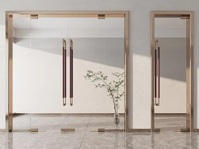 Modern Glass Doors with Golden Frames Dark Handles Marble Floor and Vase Plant 3d model