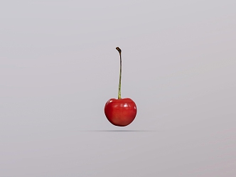 Fruit Cherry 3d model