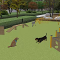 Outdoor Pet Playground With Green Lawn Wooden Dog House Agility Obstacles And Playing Dogs