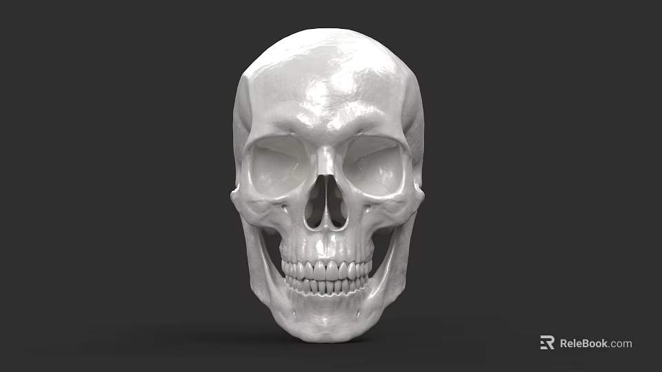 Game and Movie Character White Skull with Detailed Facial Features and Realistic Design 3d model 