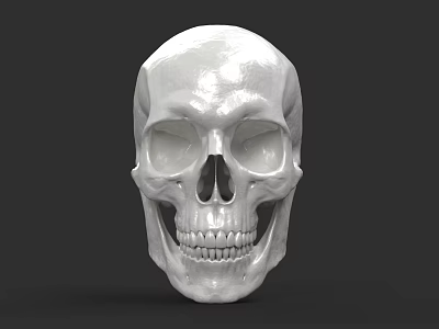 Game and Movie Character White Skull with Detailed Facial Features and Realistic Design 3d model