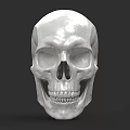 Game and Movie Character White Skull with Detailed Facial Features and Realistic Design