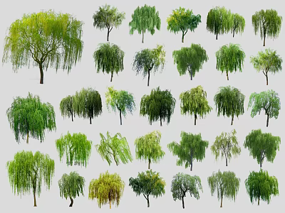 Diverse Trees with Weeping Branches Lush Green Leaves and Various Shapes 3d model