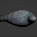 Gray Pigeon With Green Iridescent Neck And Red Feet Standing On Dark Background