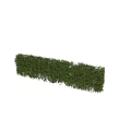 Decorative Ornament Set Featuring Green Hedge 5 Elements And Natural Leaves