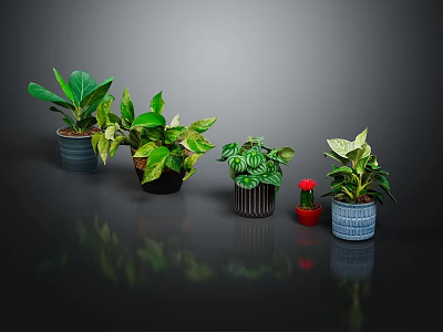 Beautiful Indoor Potted Plants With Green Variegated Leaves And Stylish Ceramic Planters 3d model