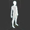 Male Human Figure 3D Model in White Standing Pose on Black Background 3d model