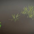 Green Plants With Slender Grass Leaves And Branches With White Small Flowers