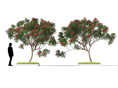 Butterflies Fluttering Around Red Flowering Trees With Green Grass And Silhouette 3d model